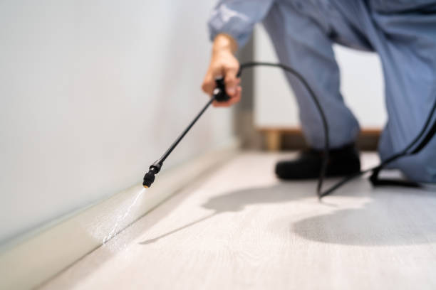 Licensed Fumigation Services service in Canyon County County, ID - Nex Pest Control